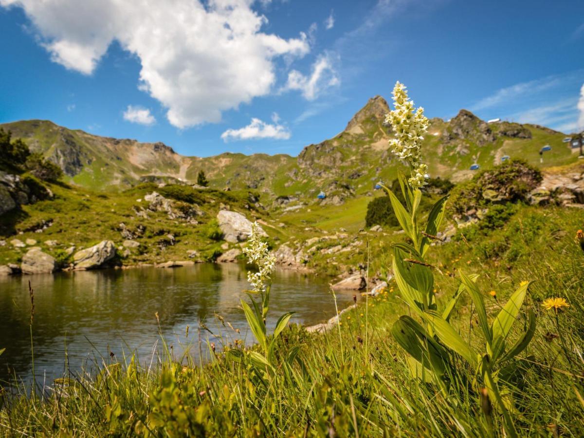 Holiday Home Steindlwald By Interhome Untertauern Buitenkant foto