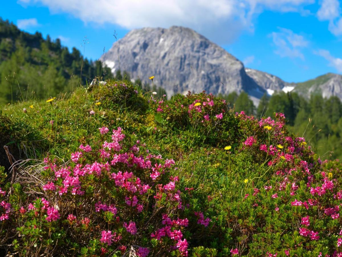 Holiday Home Steindlwald By Interhome Untertauern Buitenkant foto